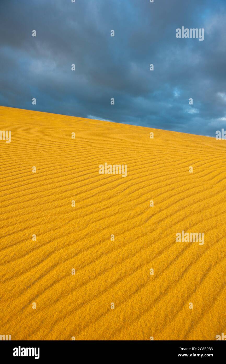 Nubes oscuras de frente de tormenta que se acercan a la duna de arena del desierto en el Outback de Australia, con un patrón de líneas finas y textura como espacio de copia, fondo y backgroun Foto de stock