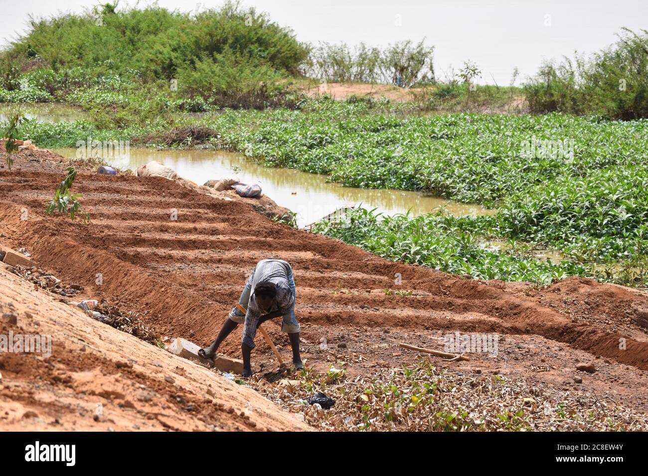 Un hombre que se prepara para plantar un jardín en el suelo rocoso a orillas del río Níger en Niamey, Níger, África Foto de stock