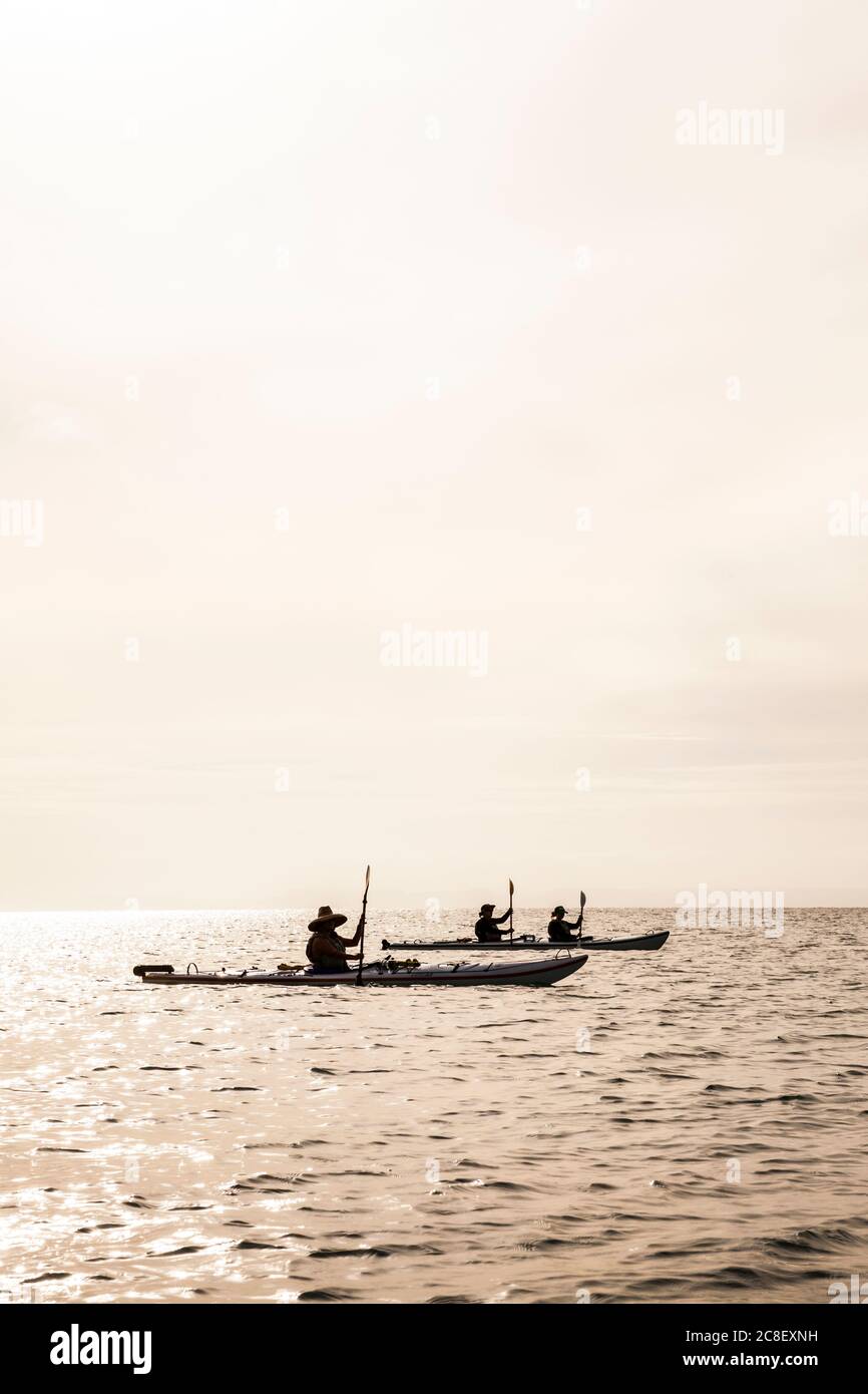Siluetas de kayakistas, Isla Espiritu Santo, México. El Golfo de California Foto de stock