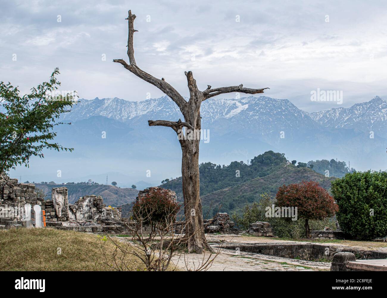 Vista del Himalaya desde el fuerte Kangra, Dharamshala, Himachal India Foto de stock
