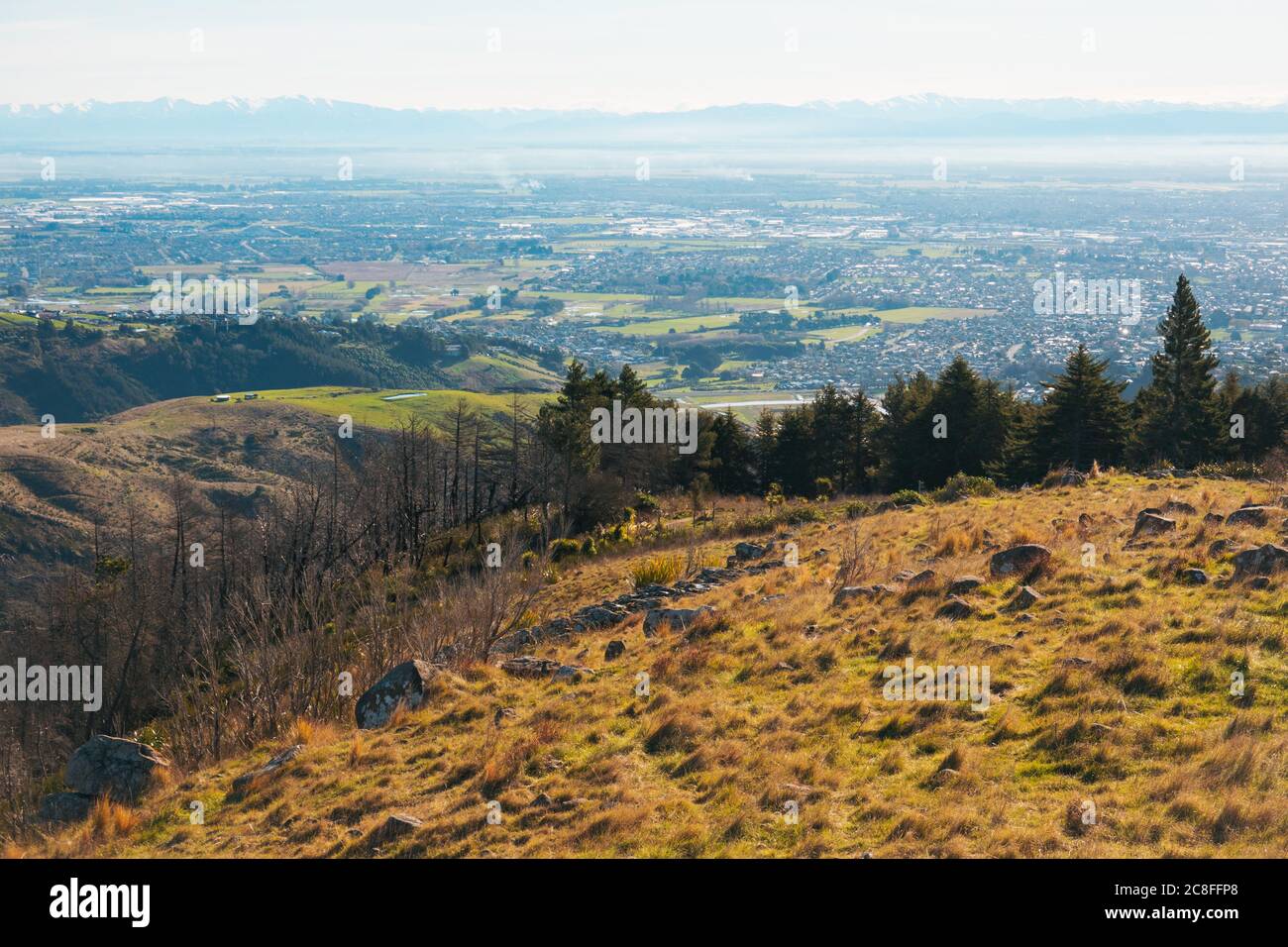 La vista sobre la ciudad de Christchurch vista desde la reserva escénica Thomson, Port Hills, Nueva Zelanda Foto de stock