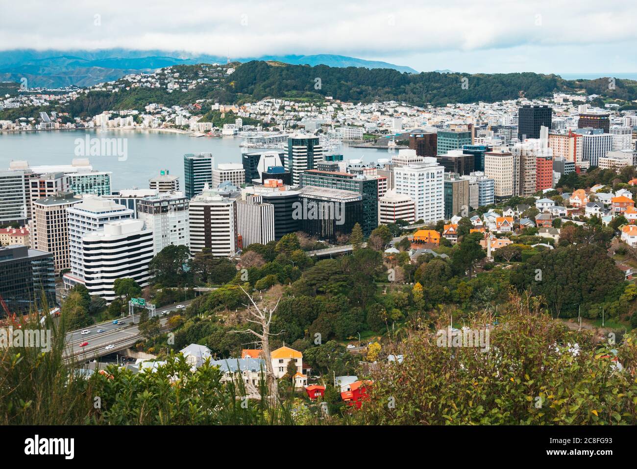 Wellington, la capital de Nueva Zelanda, y su puerto, como se ve desde el paseo norte en la Reserva Te Ahumairangi Hill, parte del cinturón de la ciudad Foto de stock