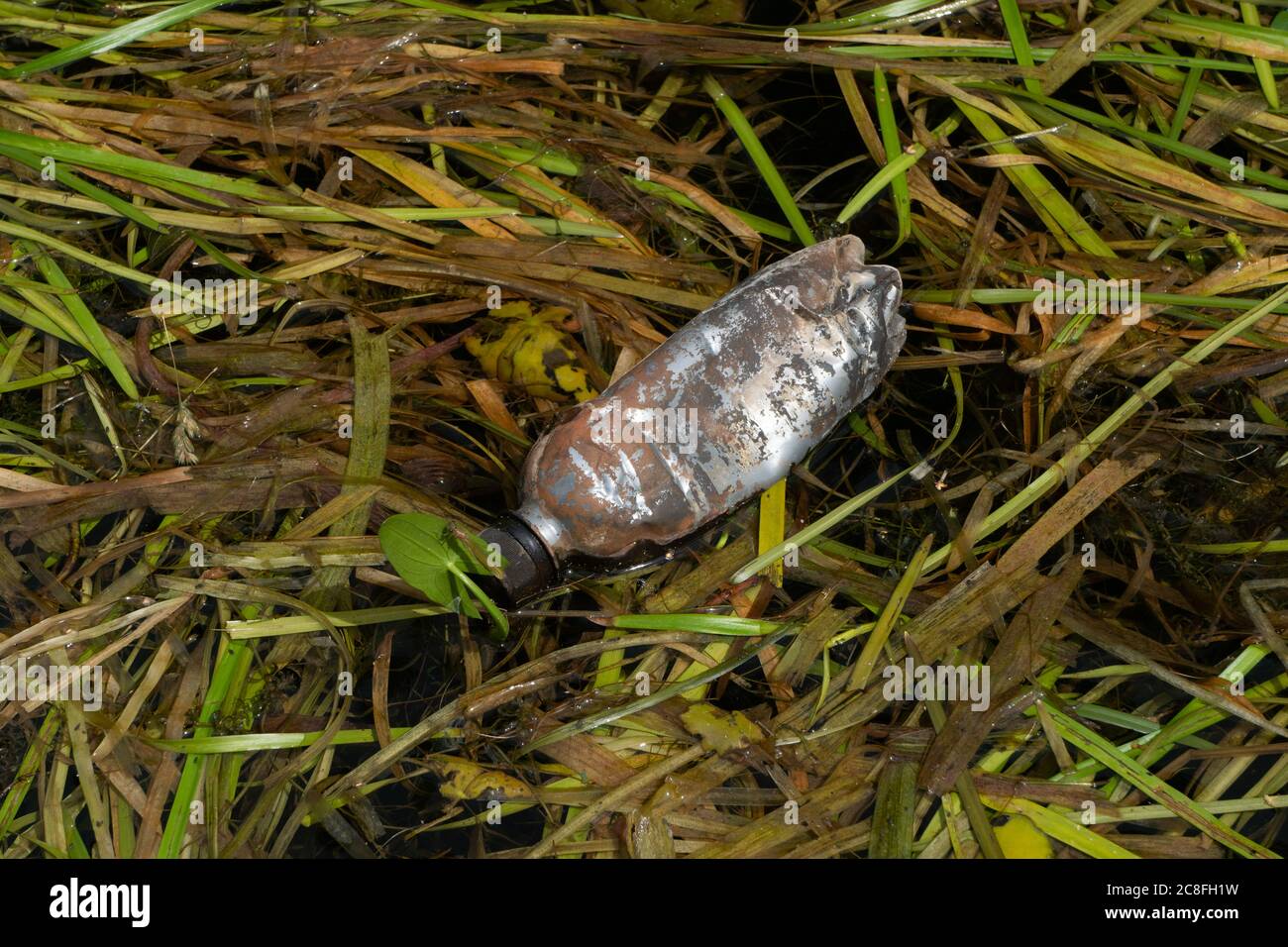 Botella de plástico que flota en el borde del canal. Midlands del Oeste. REINO UNIDO Foto de stock