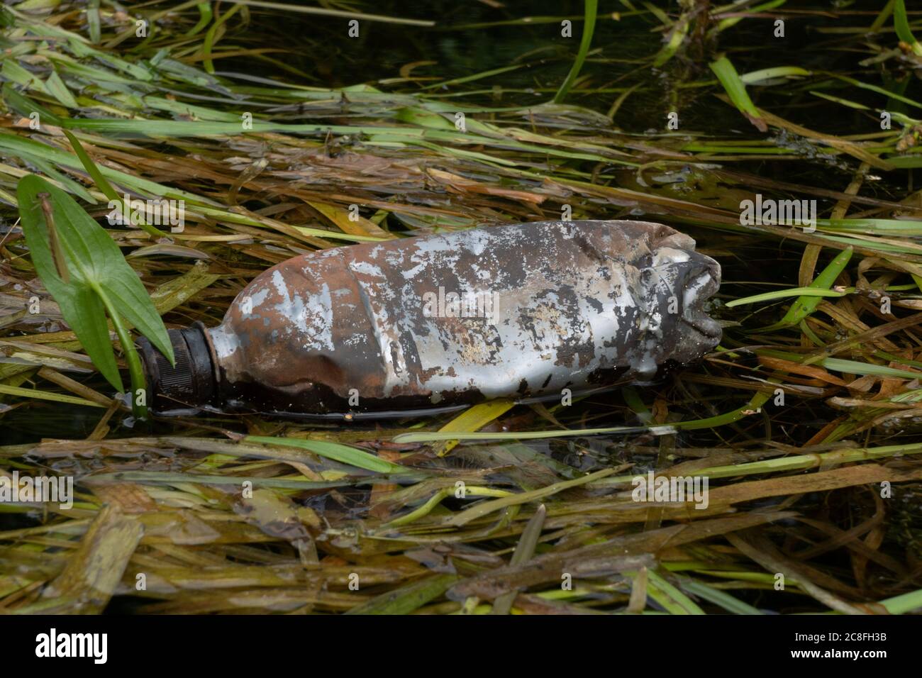 Botella de plástico flotando en el canal. REINO UNIDO Foto de stock