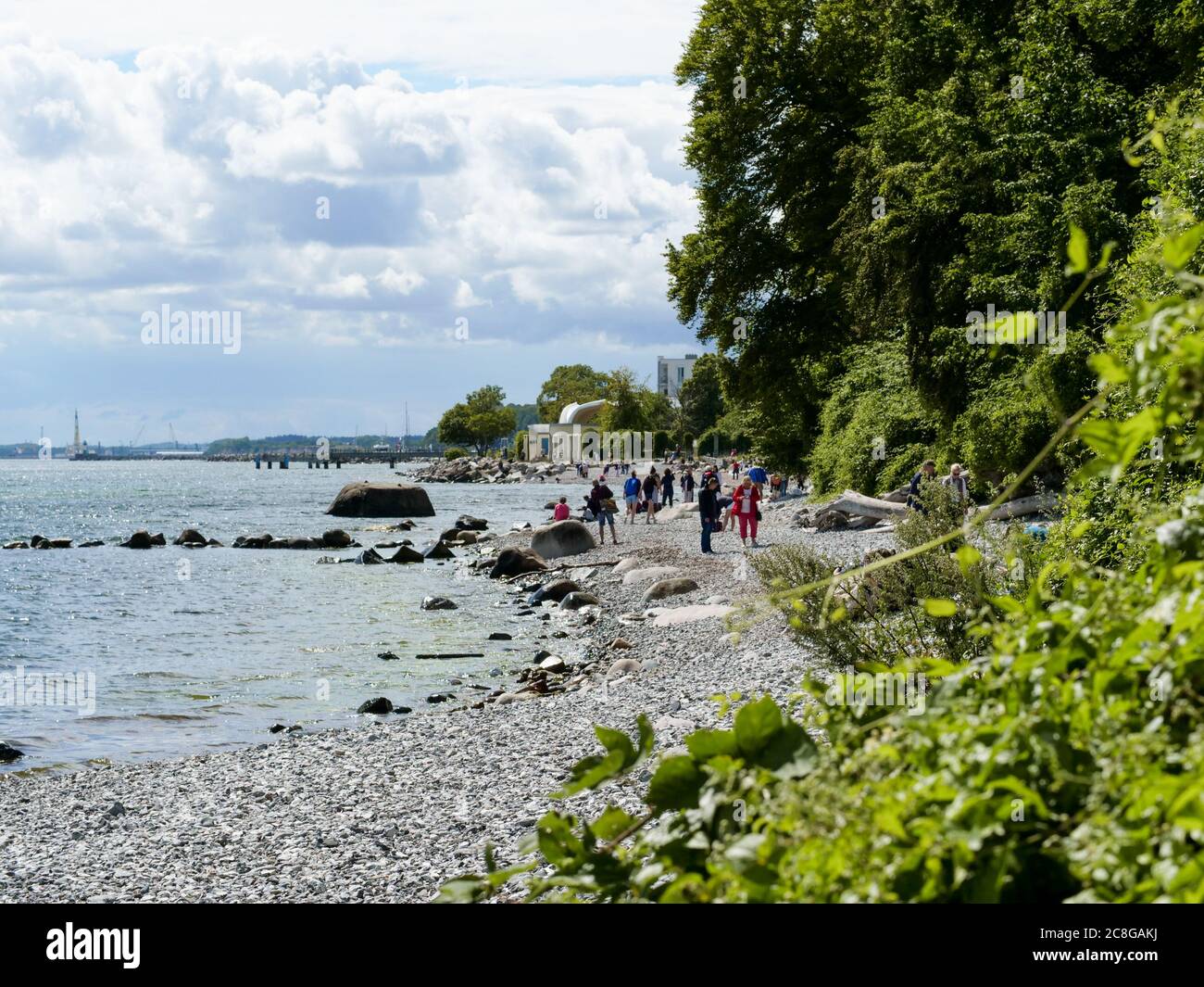 Steinstrand bei Sassnitz auf Rügen entlang der Kreidefelsen wandern zum Hafen in der Nathur im Nationalpark Jasmund Deutschland Foto de stock