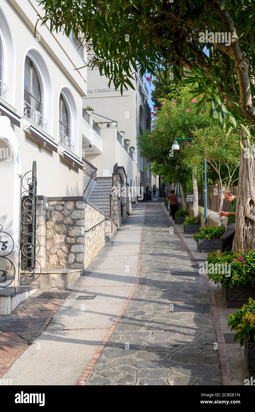 Lujosas villas en una calle arbolada en la isla de Capri, Italia Foto de stock