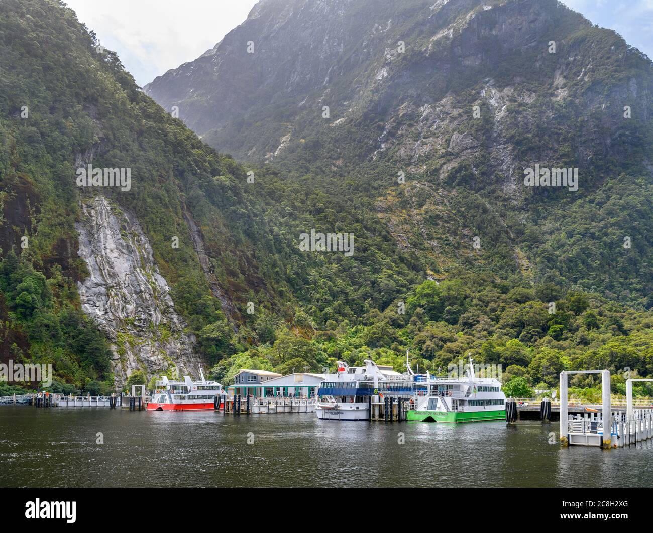 Cruceros amarrados frente al centro de visitantes en Milford Sound, Parque Nacional Fiordland, Southland, Isla del Sur, Nueva Zelanda Foto de stock