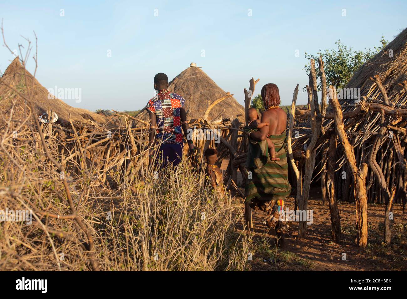 Hamer Tribe en Etiopía Foto de stock