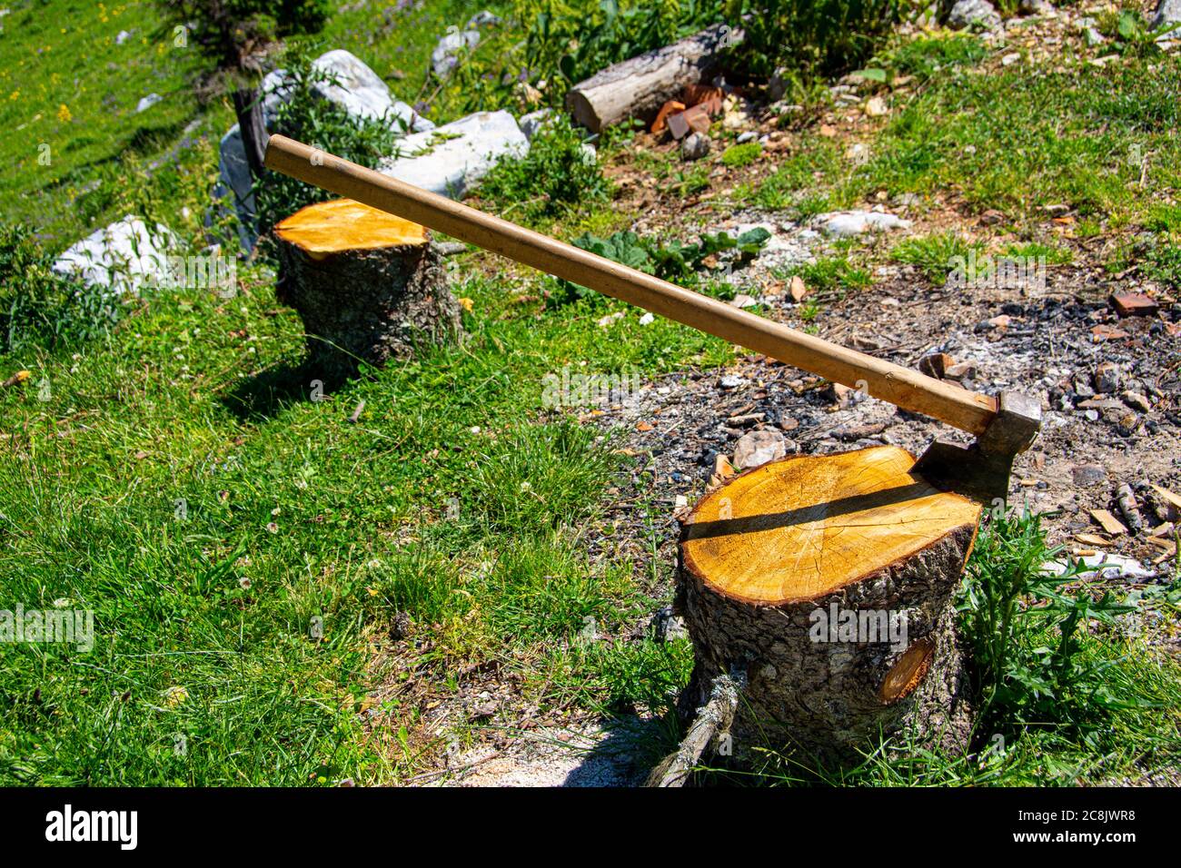 El golpe del hacha en el tocón de madera Fotografía de stock - Alamy