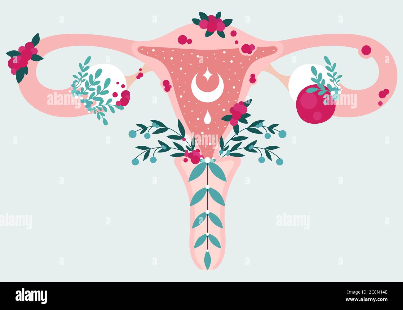 Utero dibujo Imágenes vectoriales de stock - Alamy