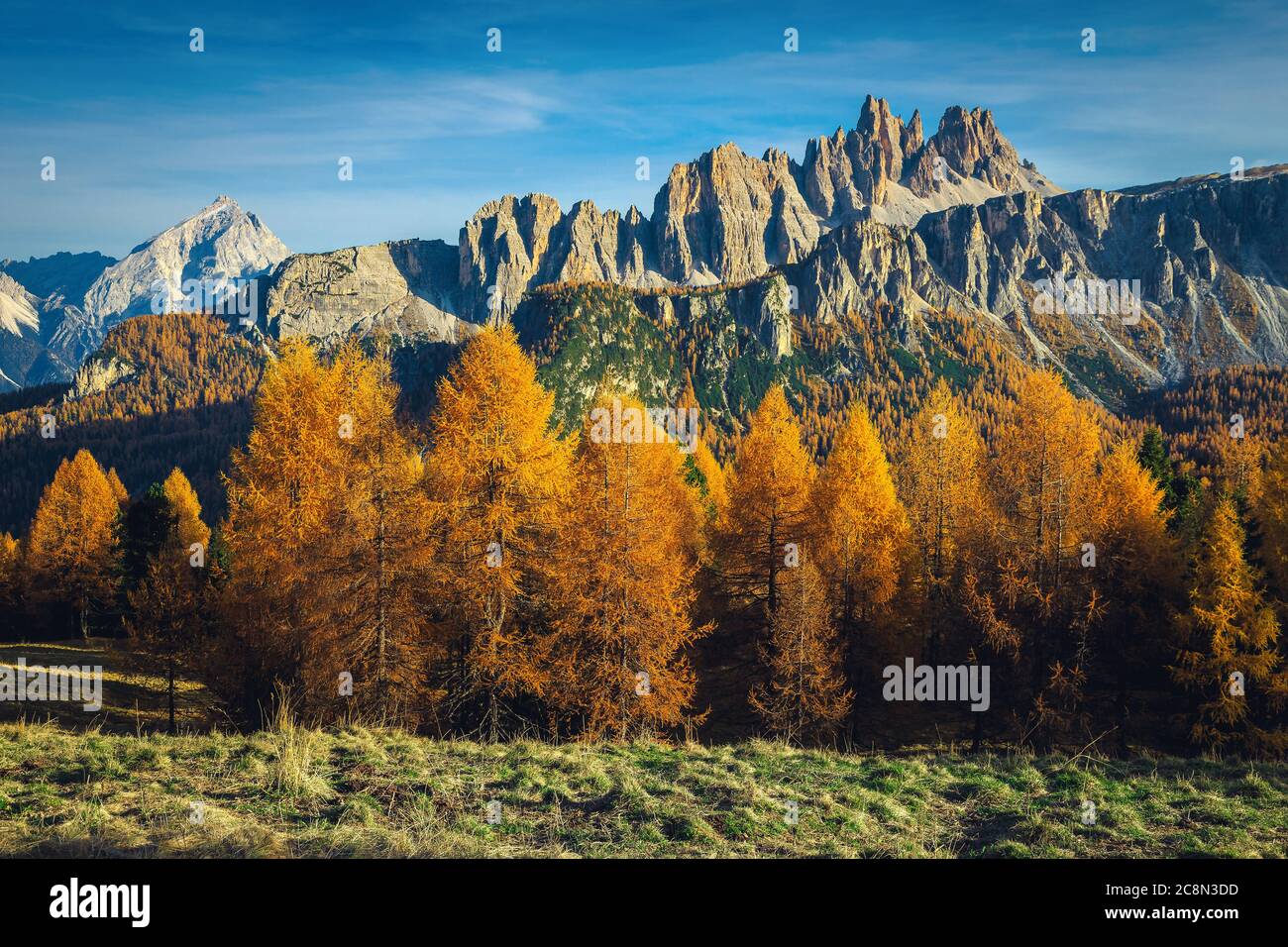 Paisaje alpino de otoño admirable con bosque de alerce colorido y espectaculares montañas en el fondo, Dolomitas, Italia, Europa Foto de stock