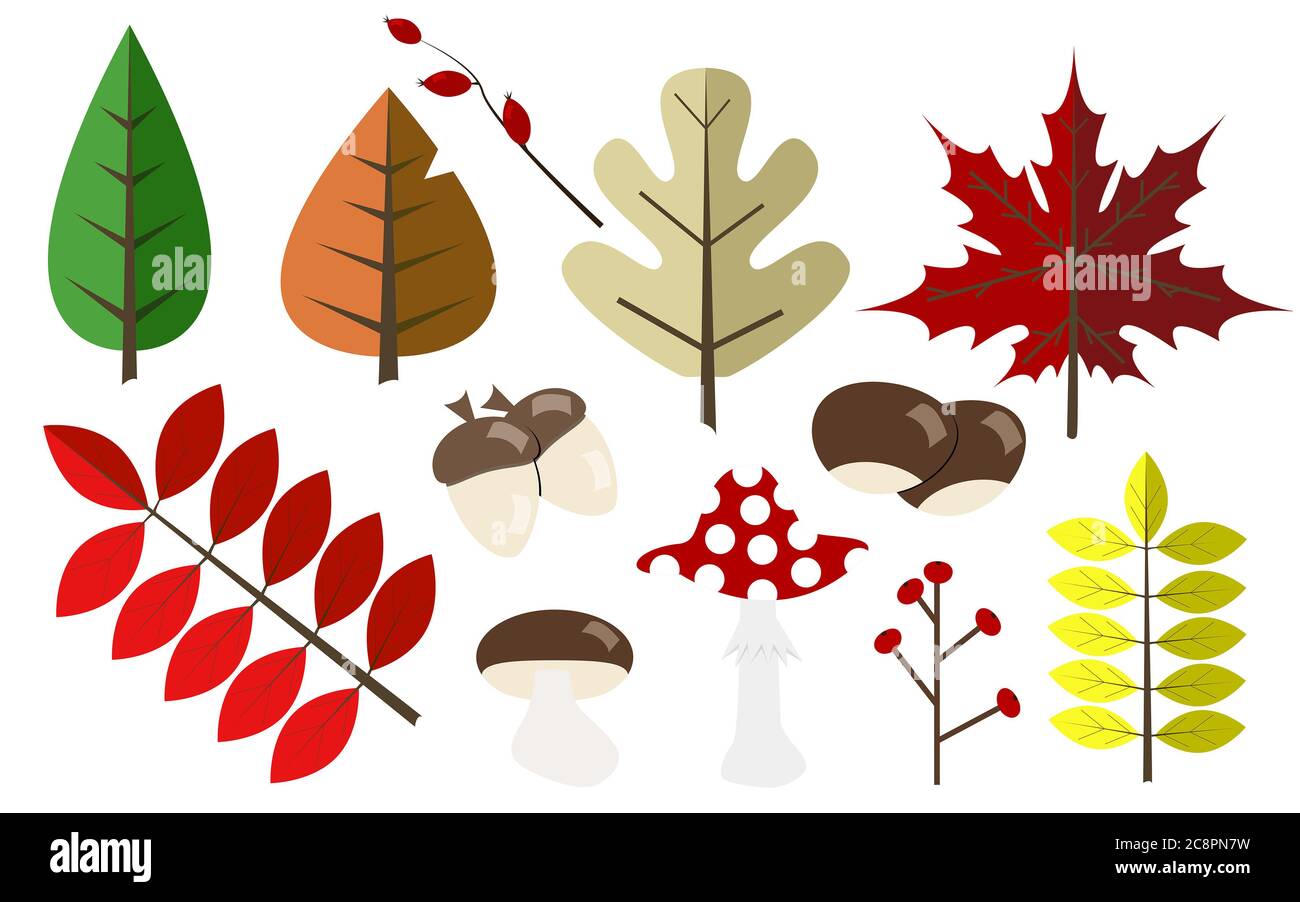 Elementos de otoño. Hojas diferentes de diferentes colores y cultivos