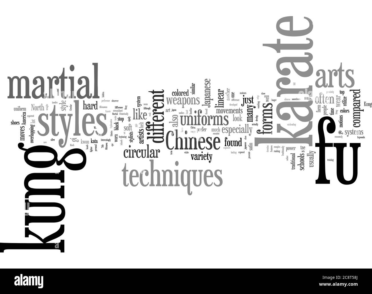 Word Cloud Resumen de la diferencia entre Karate y Kung Fu Artículo