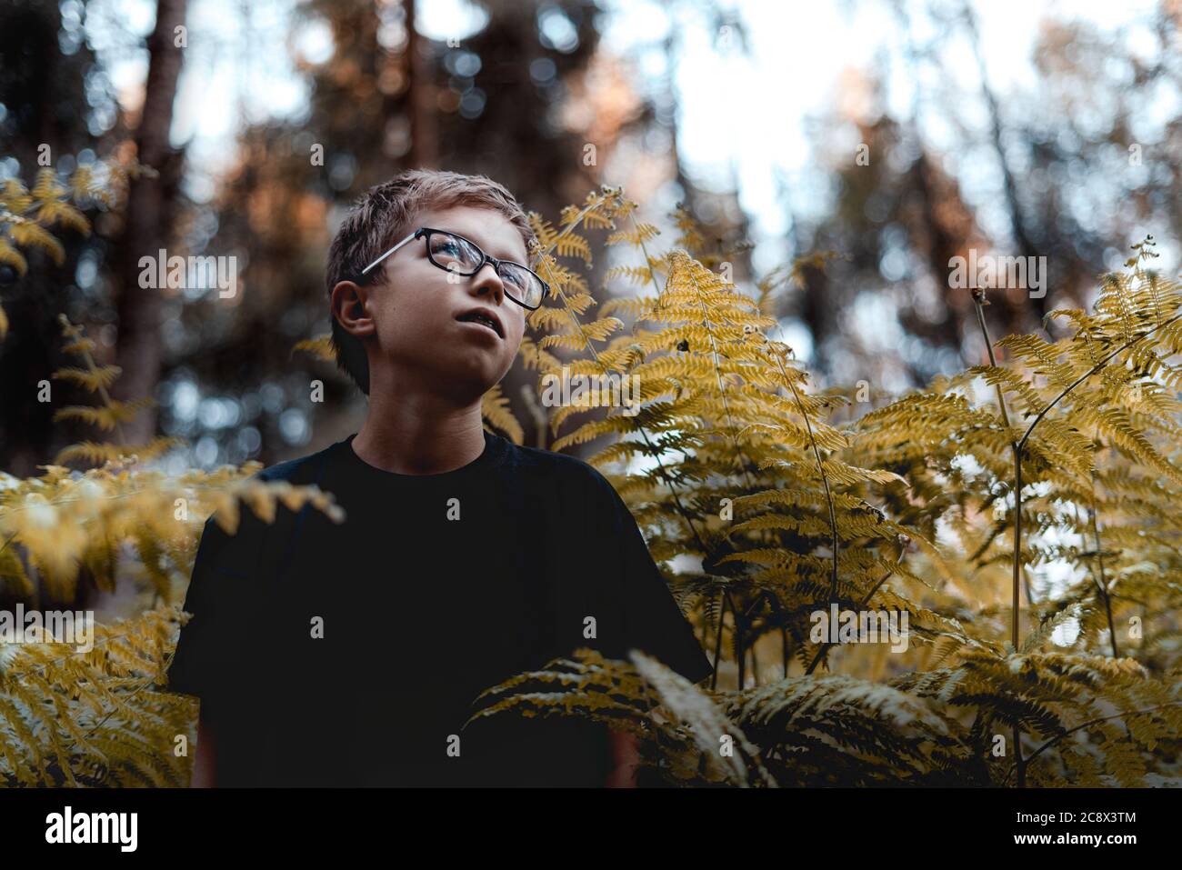 Retrato de un joven adolescente en el bosque. Foto de stock