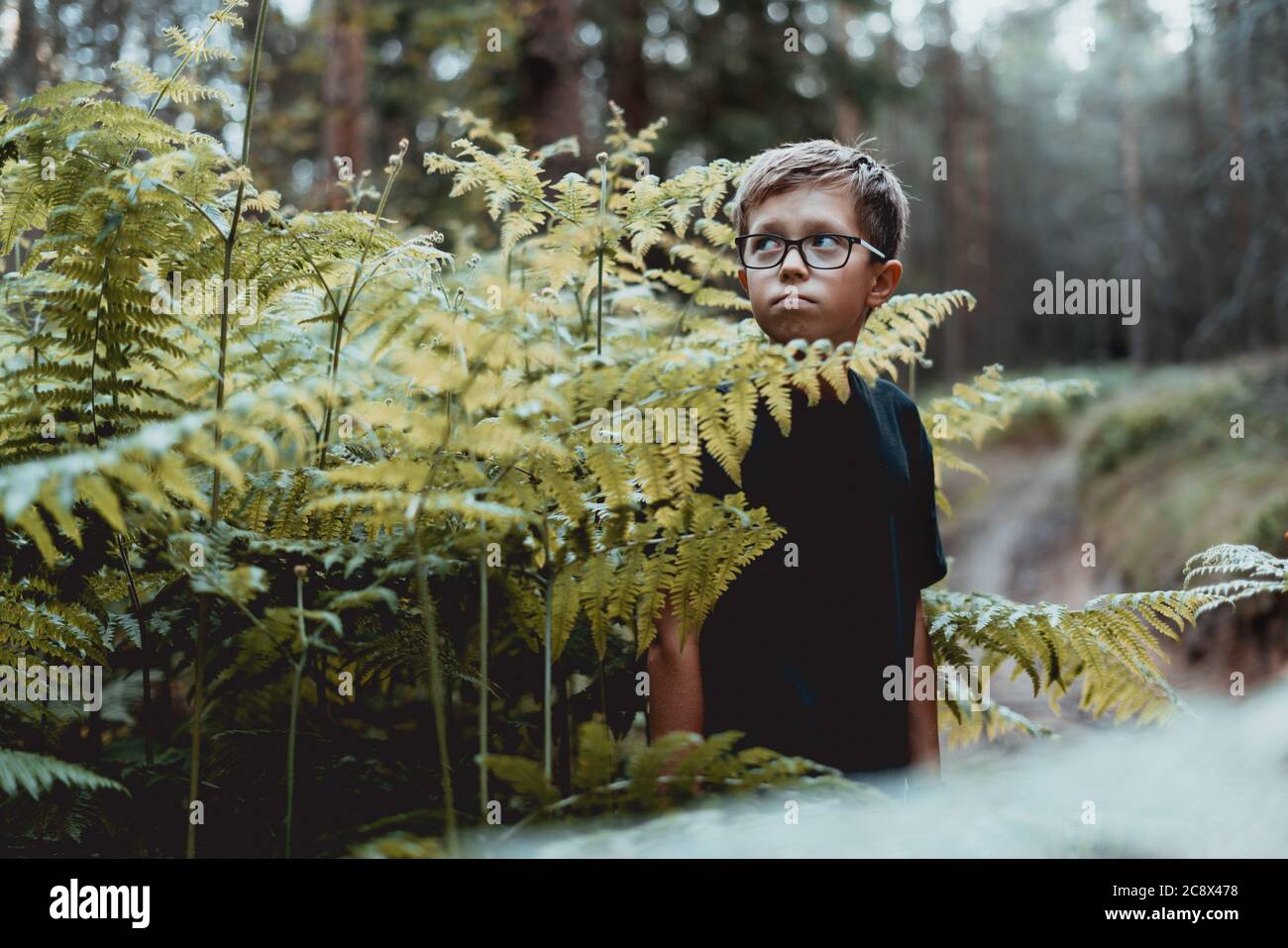Retrato de un joven adolescente en el bosque. Foto de stock