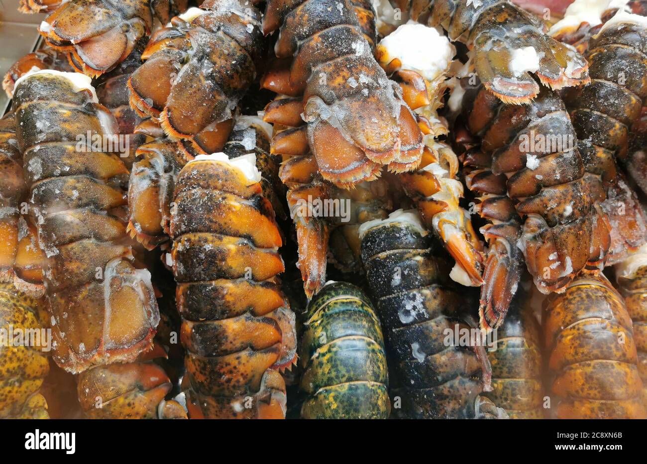 cierre las colas de langosta congeladas para la venta Fotografía de stock -  Alamy