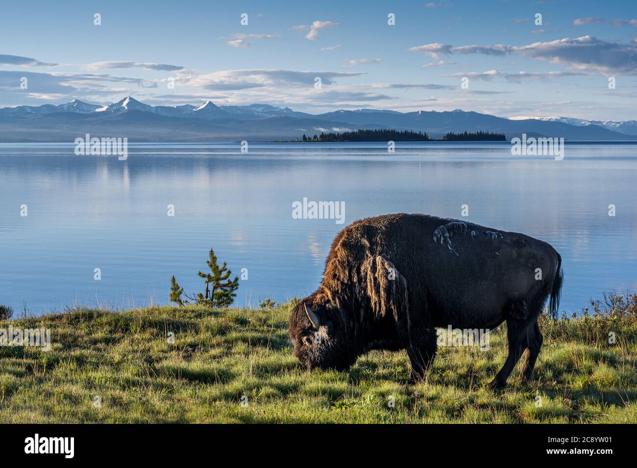 El Parque Nacional Yellowstone es el primer parque nacional establecido en los Estados Unidos. Foto de stock