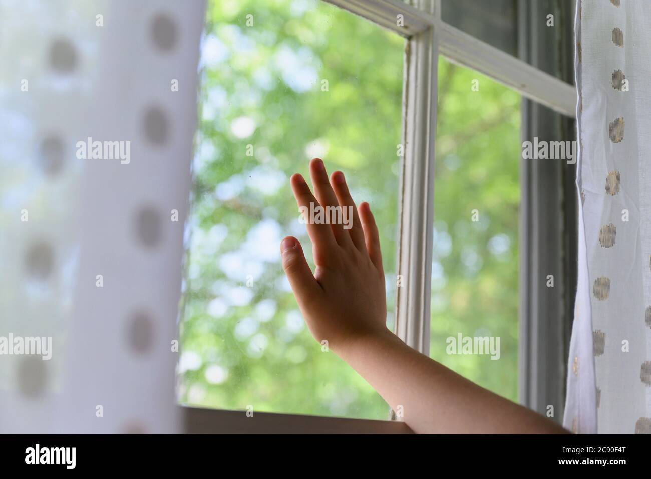 La mano del niño toca la ventana con los árboles detrás Foto de stock