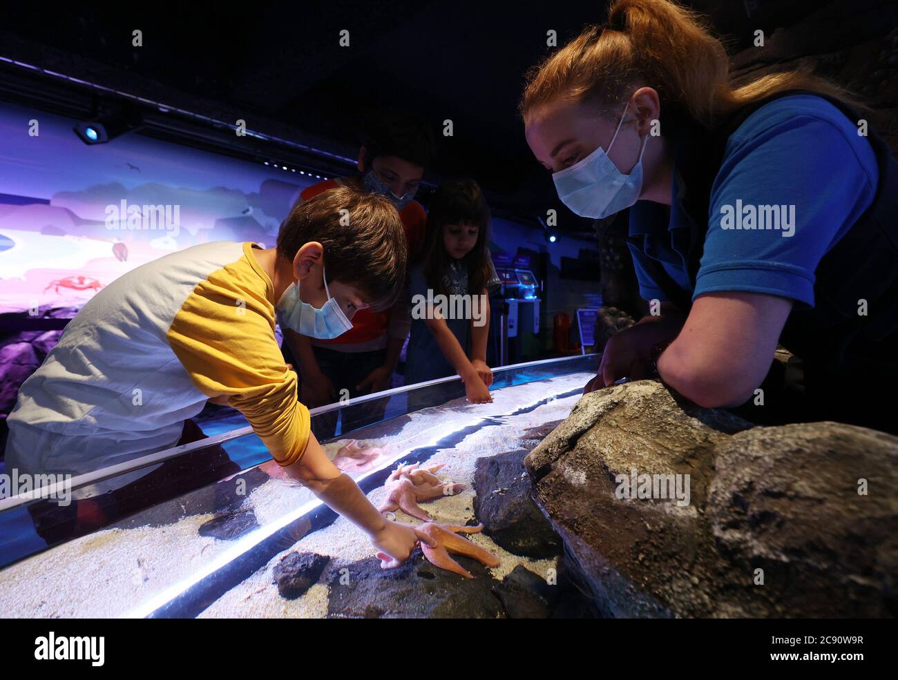 Las familias pueden volver a experimentar la mayor exhibición de arrecifes de coral vivos del Reino Unido en EL ACUARIO SEA LIFE London Aquarium a partir del 1 de agosto, mientras la atracción se prepara para reabrir de acuerdo con las últimas directrices del Gobierno. Foto de stock