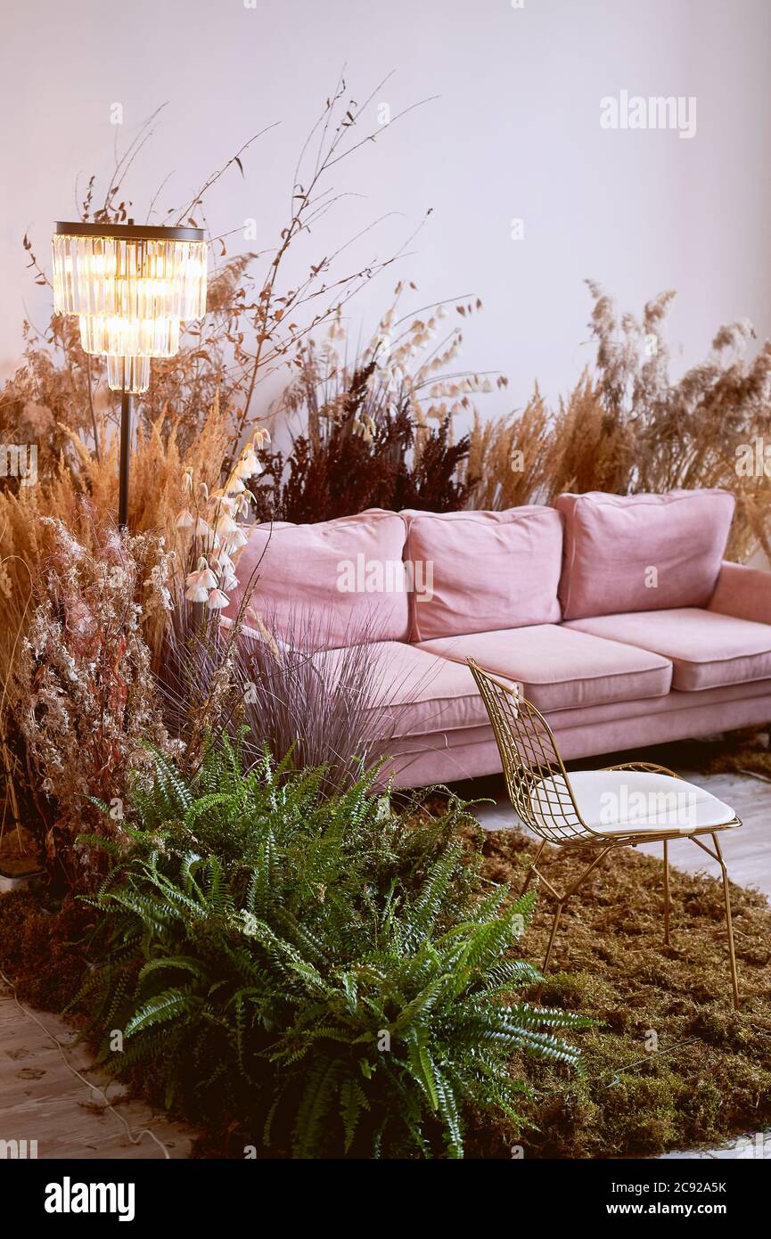 El interior es de estilo ecológico.Sofá rosa con una almohada voluminosa.  Musgo en el suelo, cereales, helechos, pampas y flores secas. Coronas pastel  Fotografía de stock - Alamy