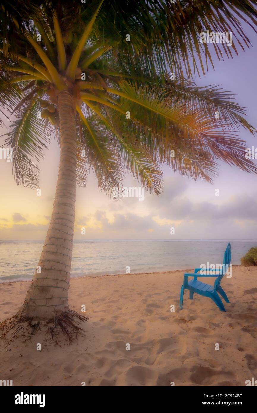 Silla de playa suave y borrosa y palmeras, Isla Gran Caimán Foto de stock