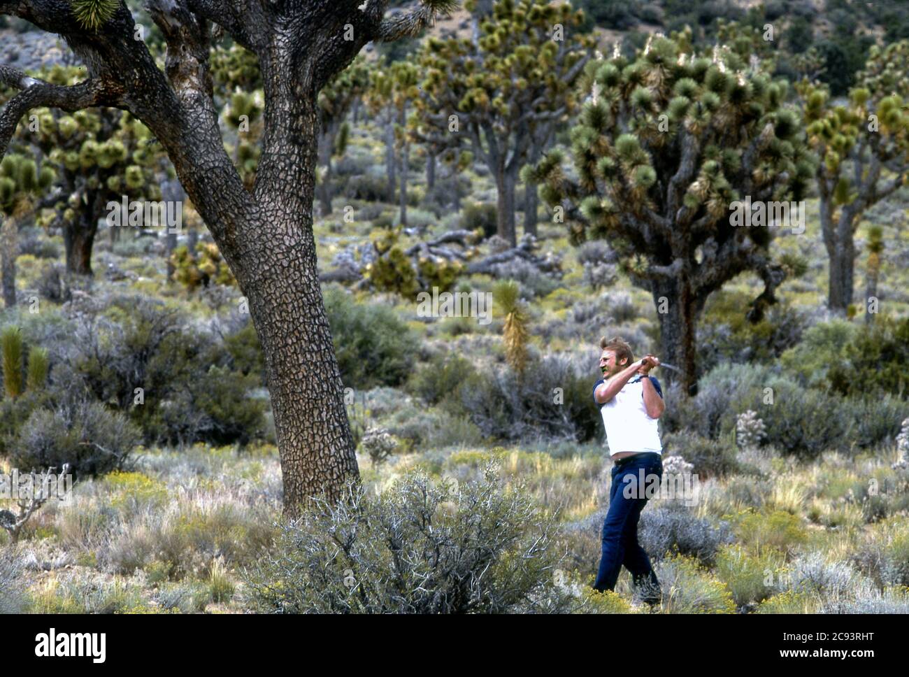 Torneo de Golf Desert, 29 Palms, CA Foto de stock
