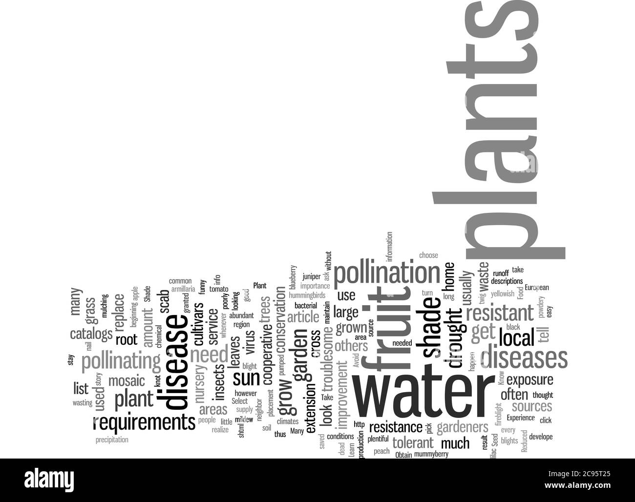 Word Cloud Resumen De Lo Que Es La Planta Correcta Y Donde Lo Pongo