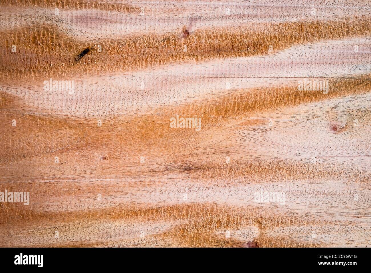 Tabla de madera dura grande vacía con fondo de textura Fotografía de