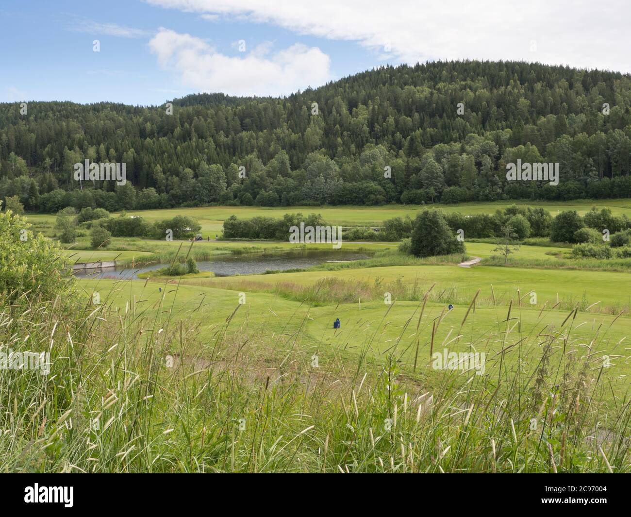 Losby Golfklubb, uno de los varios campos de golf esparcidos alrededor de la capital Noruega Oslo en paisajes idílicos en el borde del bosque Foto de stock