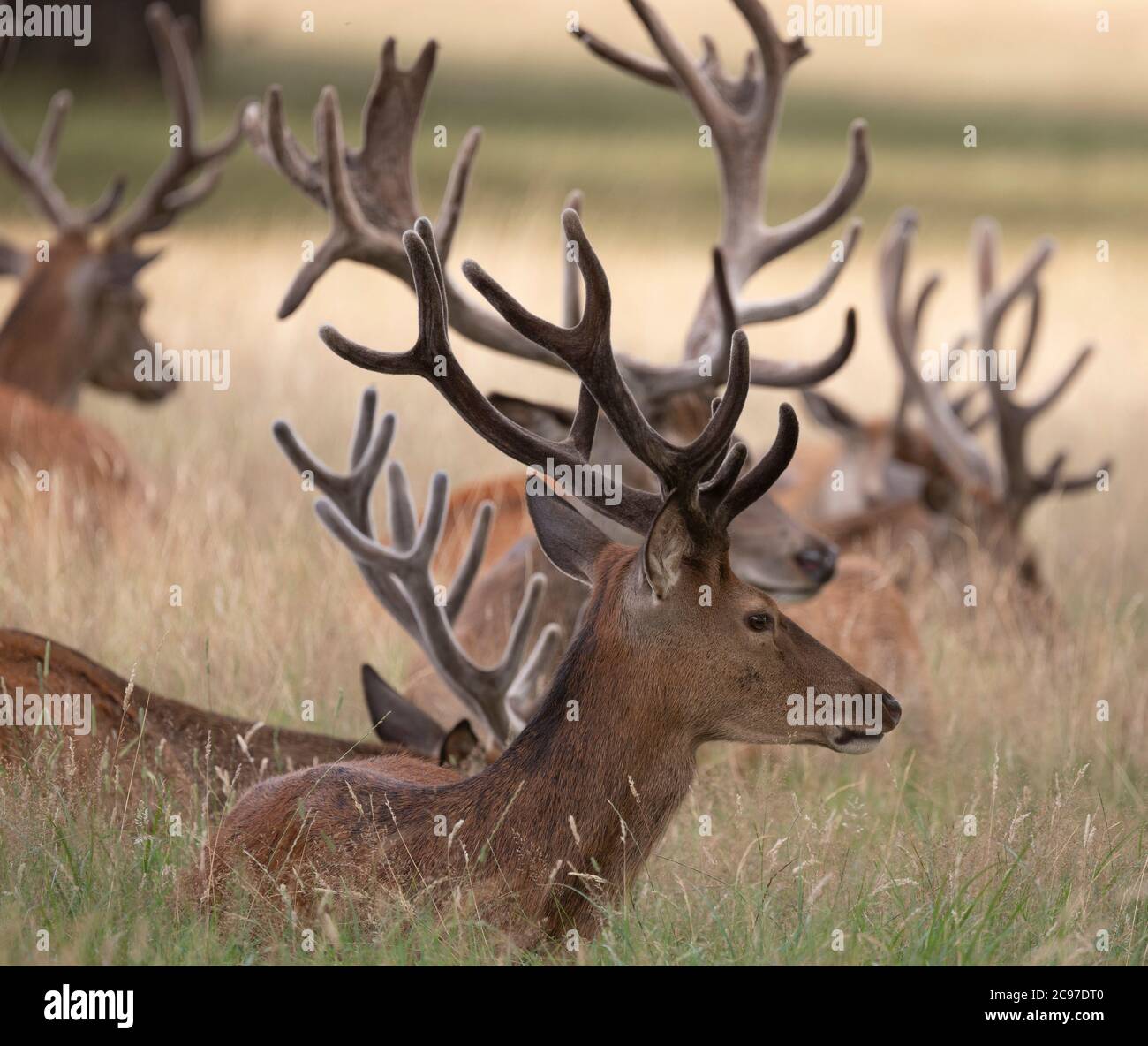 Ciclistas disfrutando del clima Fotos e Imágenes de stock Alamy