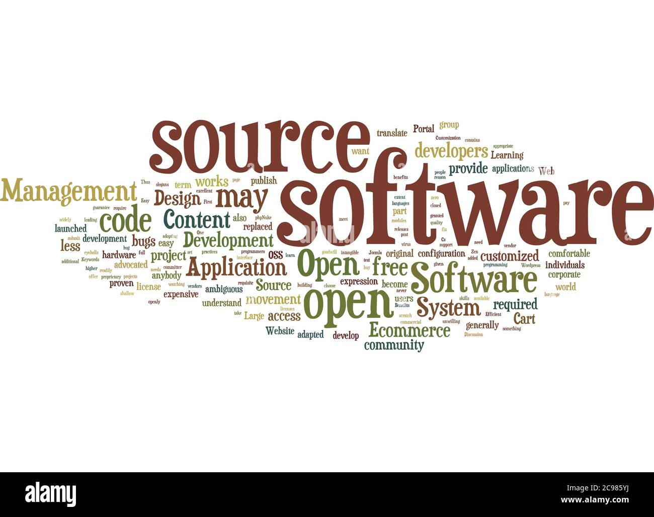 Word Cloud Resumen del artículo ¿por qué debería ir para el software de