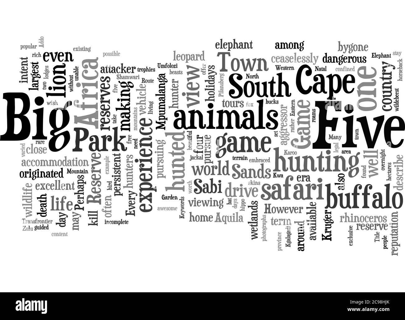 Word Cloud Resumen de los cinco grandes animales en Sudáfrica Artículo Foto de stock