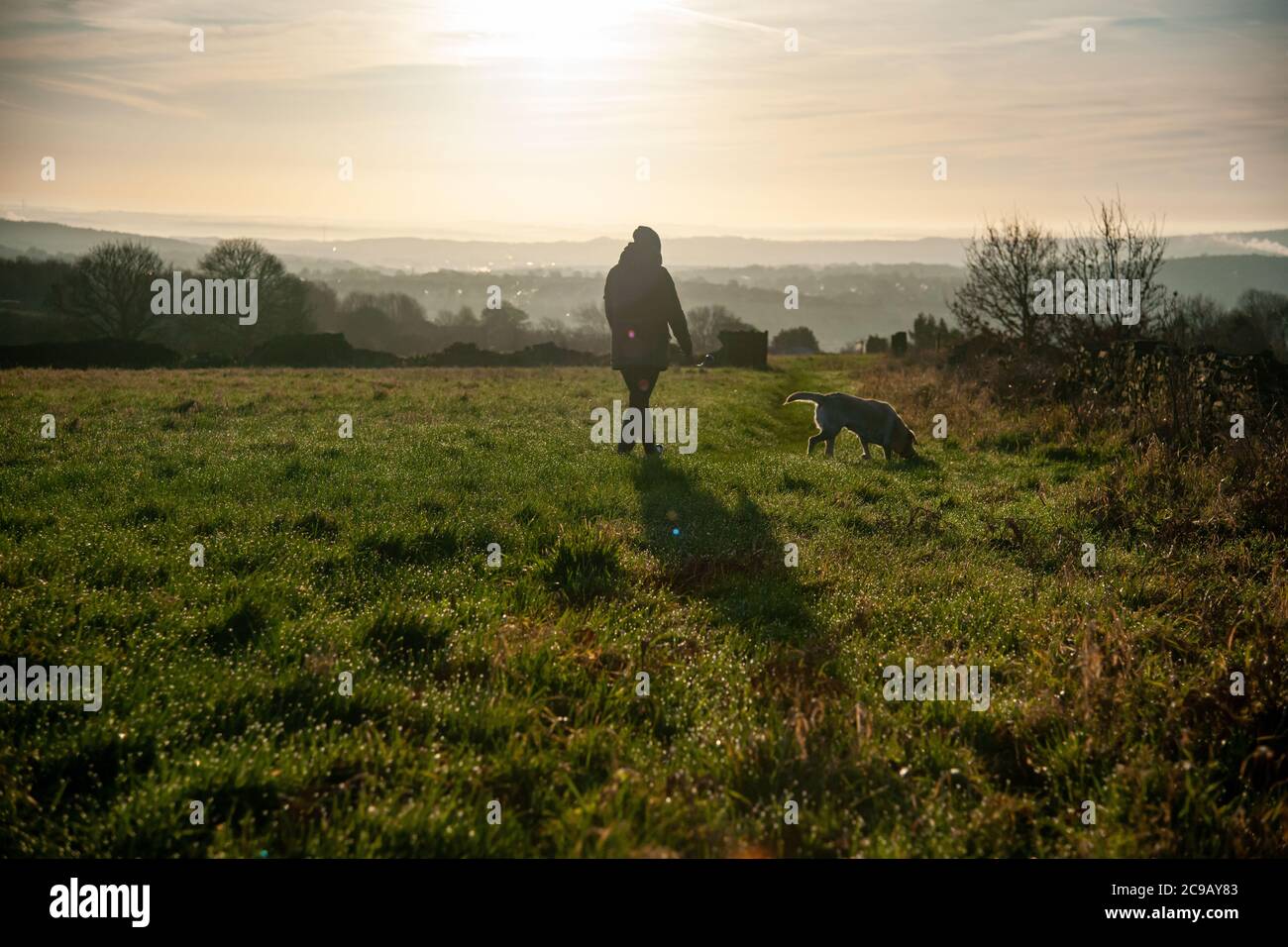 Mujer caminando a su perro a principios de la mañana del invierno en un campo de granja sobre Sheffield, South Yorkshire Foto de stock