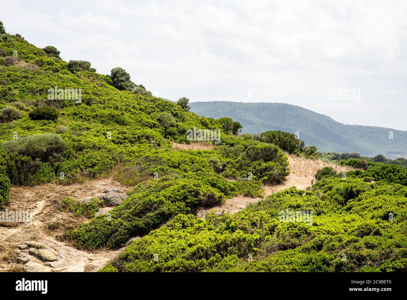 Paisaje tradicional sardo con colinas, arbustos bajos y hierba amarilla seca. Italia. Cielo nublado. Foto de stock