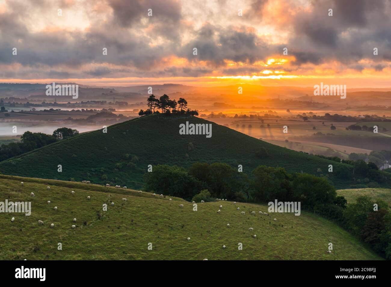 Bridport, Dorset, Reino Unido. 30 de julio de 2020. El tiempo en el Reino Unido. Un espectacular amanecer en Colmers Hill, cerca de Bridport en Dorset, mientras el sol naciente envía rayos de luz solar brillando a través de las nubes bajas antes de un día de verano caluroso. Crédito de la imagen: Graham Hunt/Alamy Live News Foto de stock