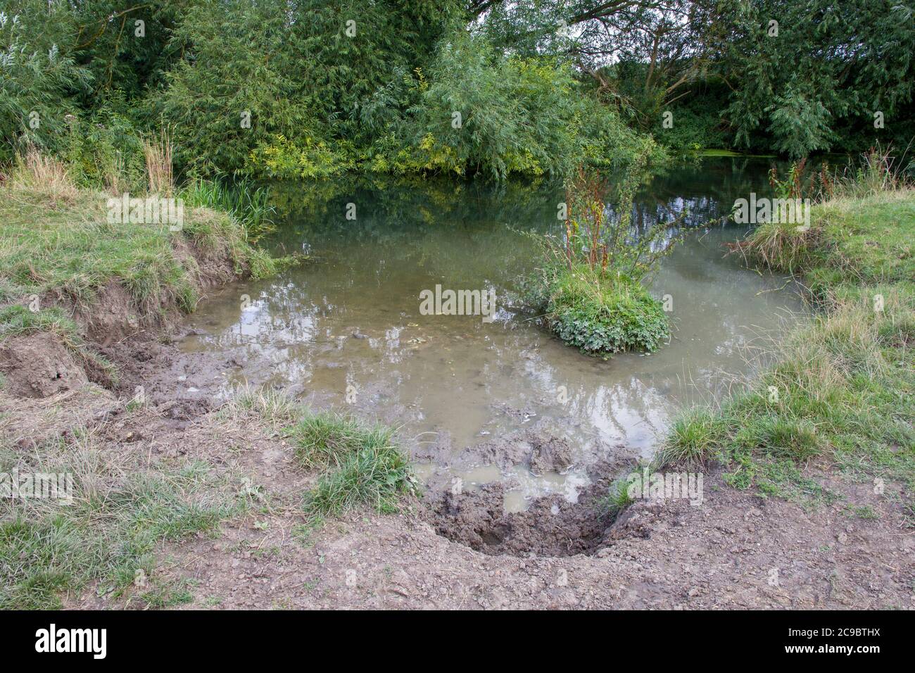 río de erosión de la orilla Cam en Grantchester Foto de stock