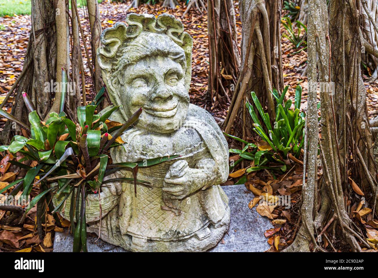 Sarasota Florida, John y Mable Ringling Museo de Arte, finca, Jardín Dwarf, escultura, higo strangler, raíces, viajes de los visitantes tour turístico Foto de stock