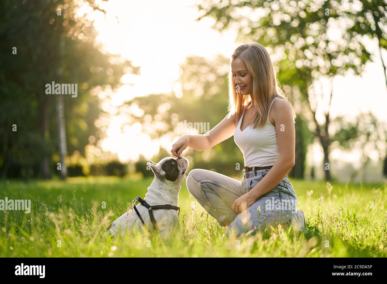 Vista lateral de la joven mujer sonriente entrenando al bulldog francés en el parque de la ciudad. Pura mascota olor golosinas de la mano de la dueña de perro, hermosa puesta de sol de verano en el fondo. Concepto de formación animal. Foto de stock