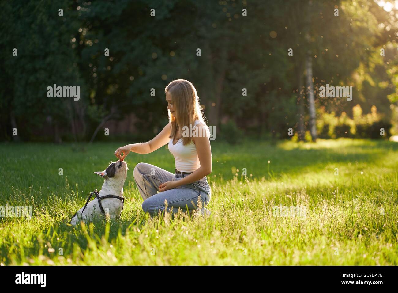 Vista lateral de la joven mujer sonriente entrenando al bulldog francés en el parque de la ciudad. Pura mascota olor golosinas de la mano de la dueña de perro, hermosa puesta de sol de verano en el fondo. Concepto de formación animal. Foto de stock