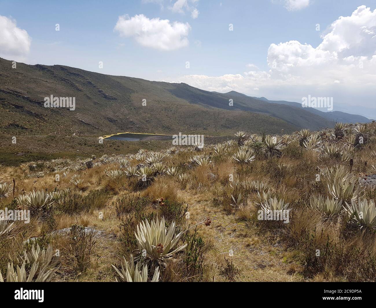 Escenografía en el Parque Nacional Natural de Chingaza en Colombia Foto de stock