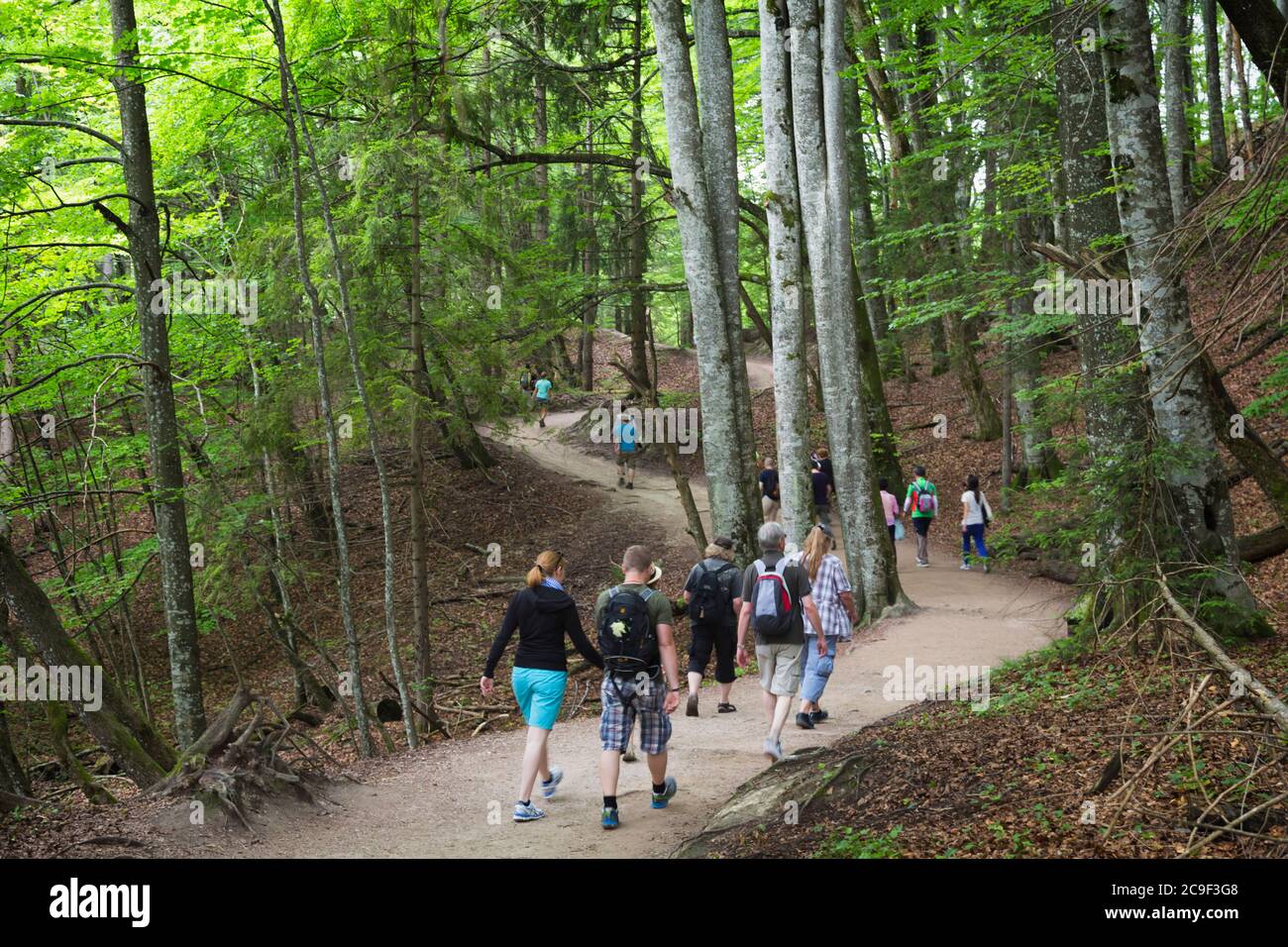 Parque Nacional de los Lagos de Plitvice, Lika-Senj County & Karlovac County, Croacia. Los visitantes pasear por senderos de tierra en el parque. Foto de stock