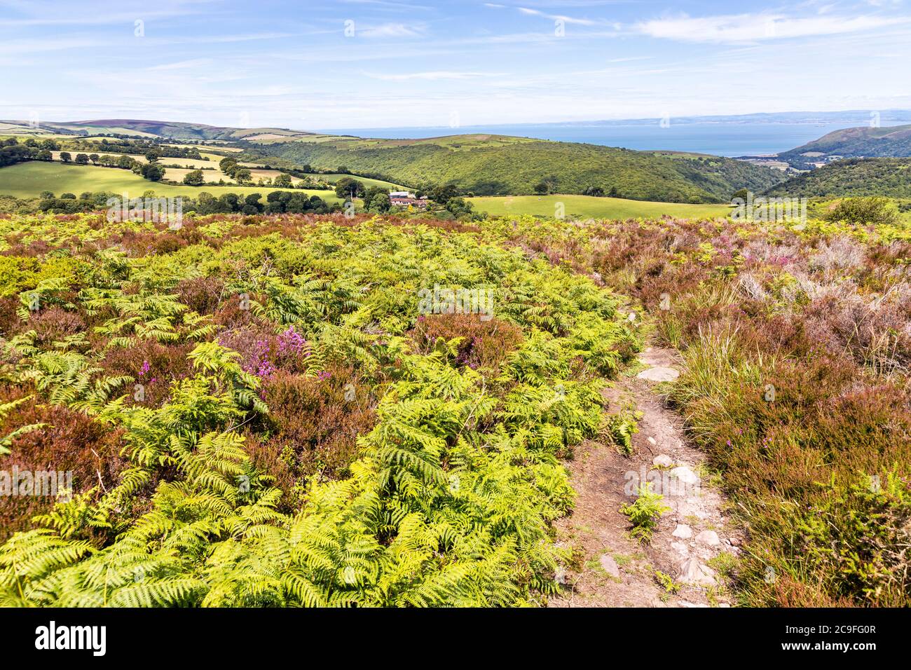 Parque Nacional Exmoor - la vista hacia Cloutsham y Bossington desde el camino en Dunkery Hill que conduce a Dunkery Beacon, Somerset UK Foto de stock