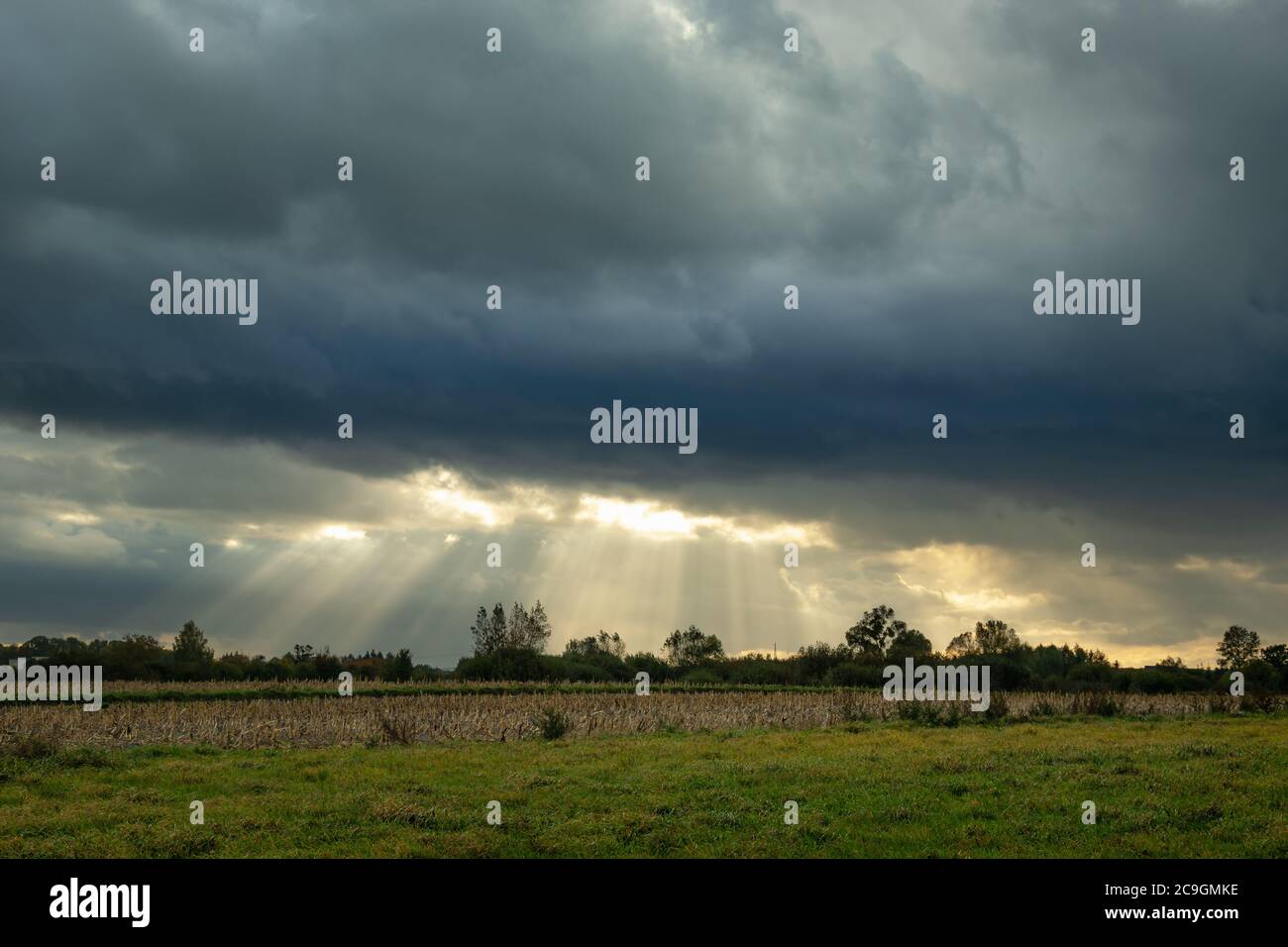 Nube oscura y sol, campo verde, vista de verano por la noche Foto de stock