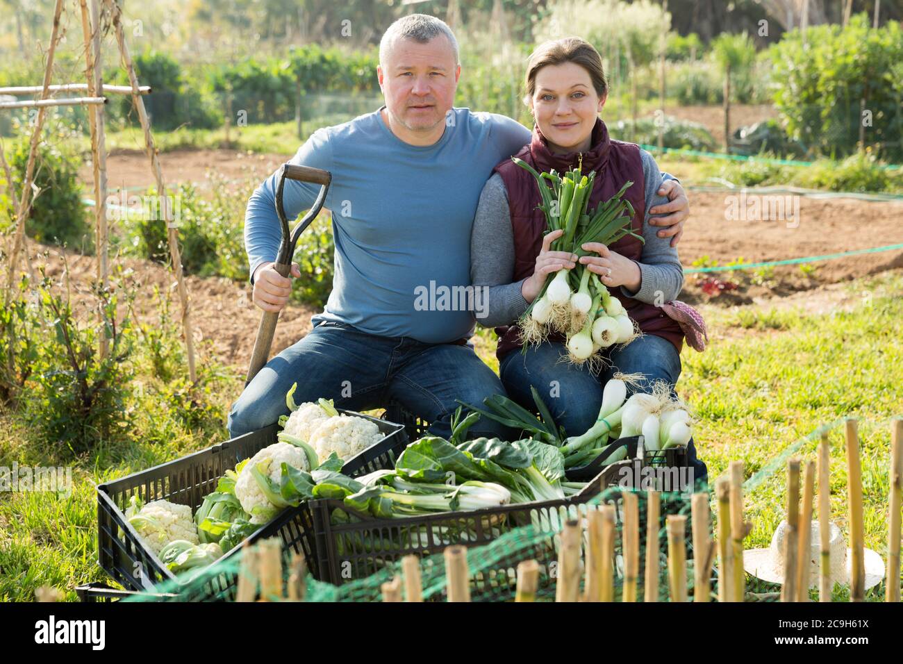 Alegre Pareja de granjeros sentado cerca de cosecha de coliflor, el puerro y los verdes en Plantation Fotografía de stock - Alamy Alegre Pareja de granjeros sentado cerca de cosecha de coliflor, el puerro y los verdes en Plantation Fotografía de stock - Alamy