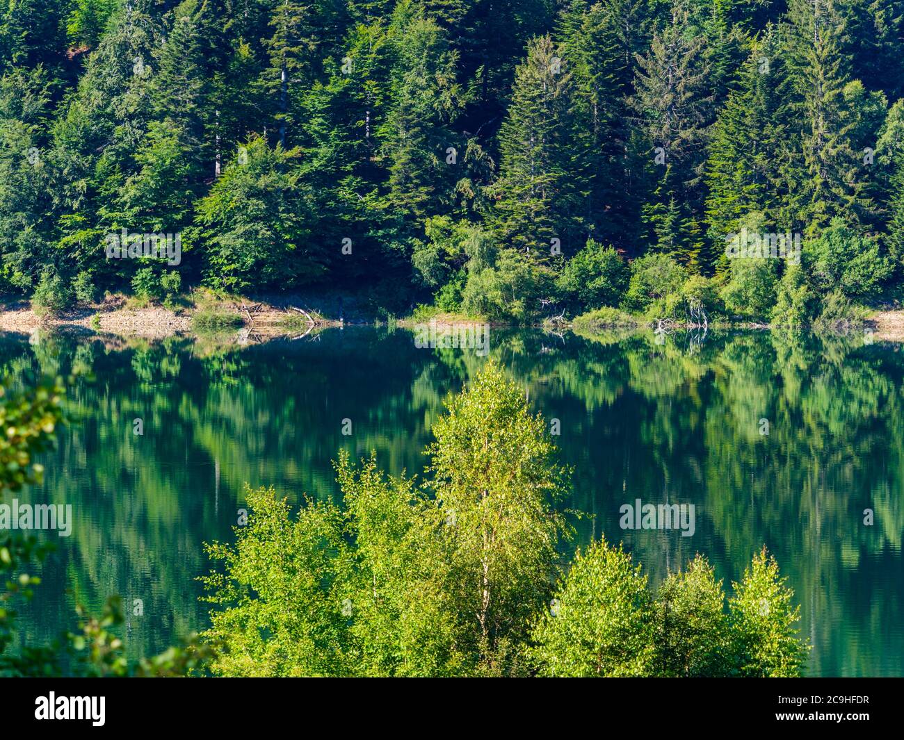 motor Remontarse Barrio bajo La hermosa naturaleza del lago Lokve en Croacia Europa preservó el medio  ambiente natural Fotografía de stock - Alamy