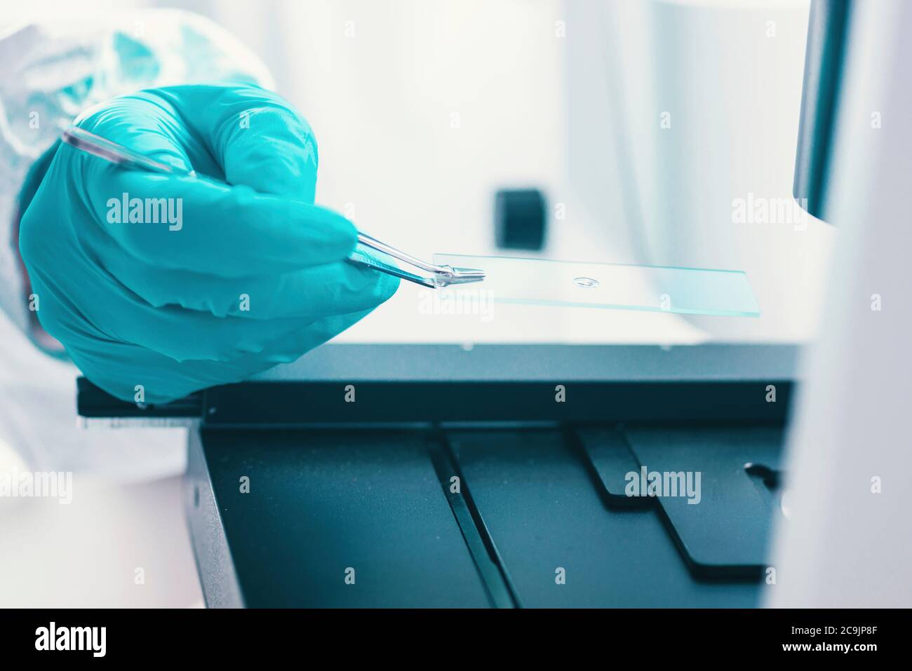 Examen de la muestra bacteriana al microscopio. Foto de stock
