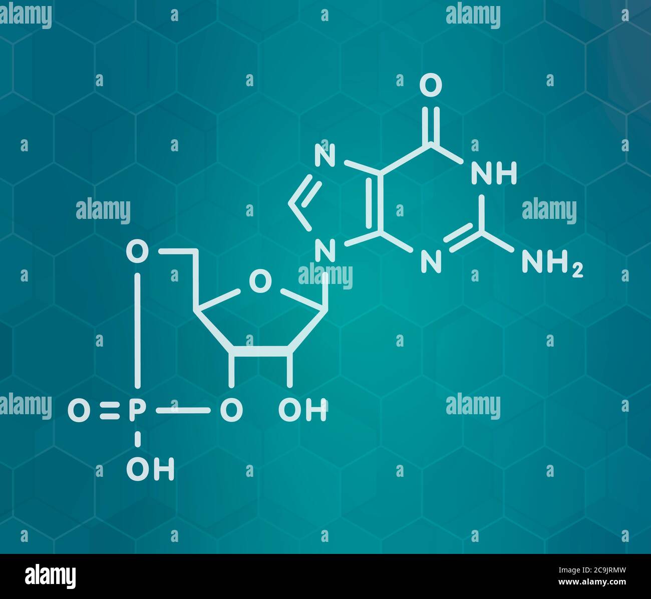 Molécula de guanosina monofosfato cíclica (cGMP). Importante segundo