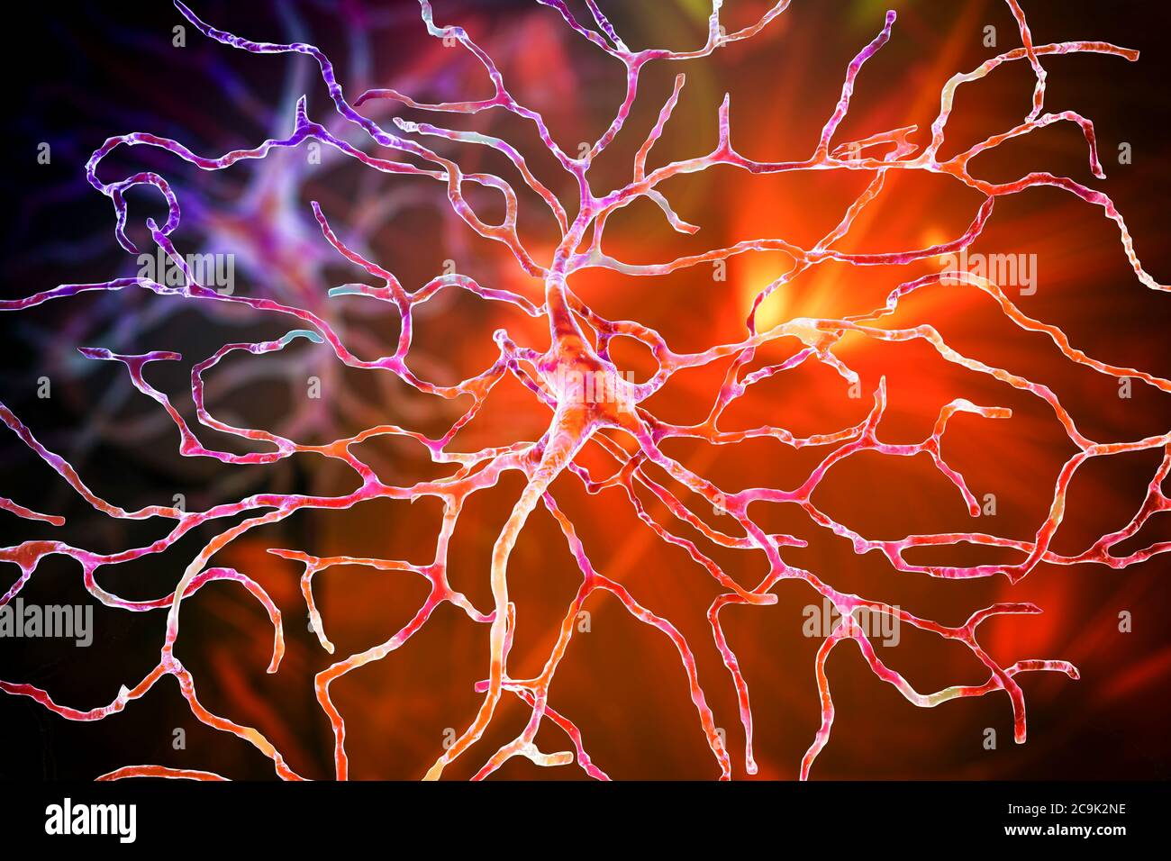 Neurona retiniana, ilustración por computadora. Esta neurona juega papel crucial en visión. Transforma la óptica para extraer el informato visual Fotografía de stock - Alamy