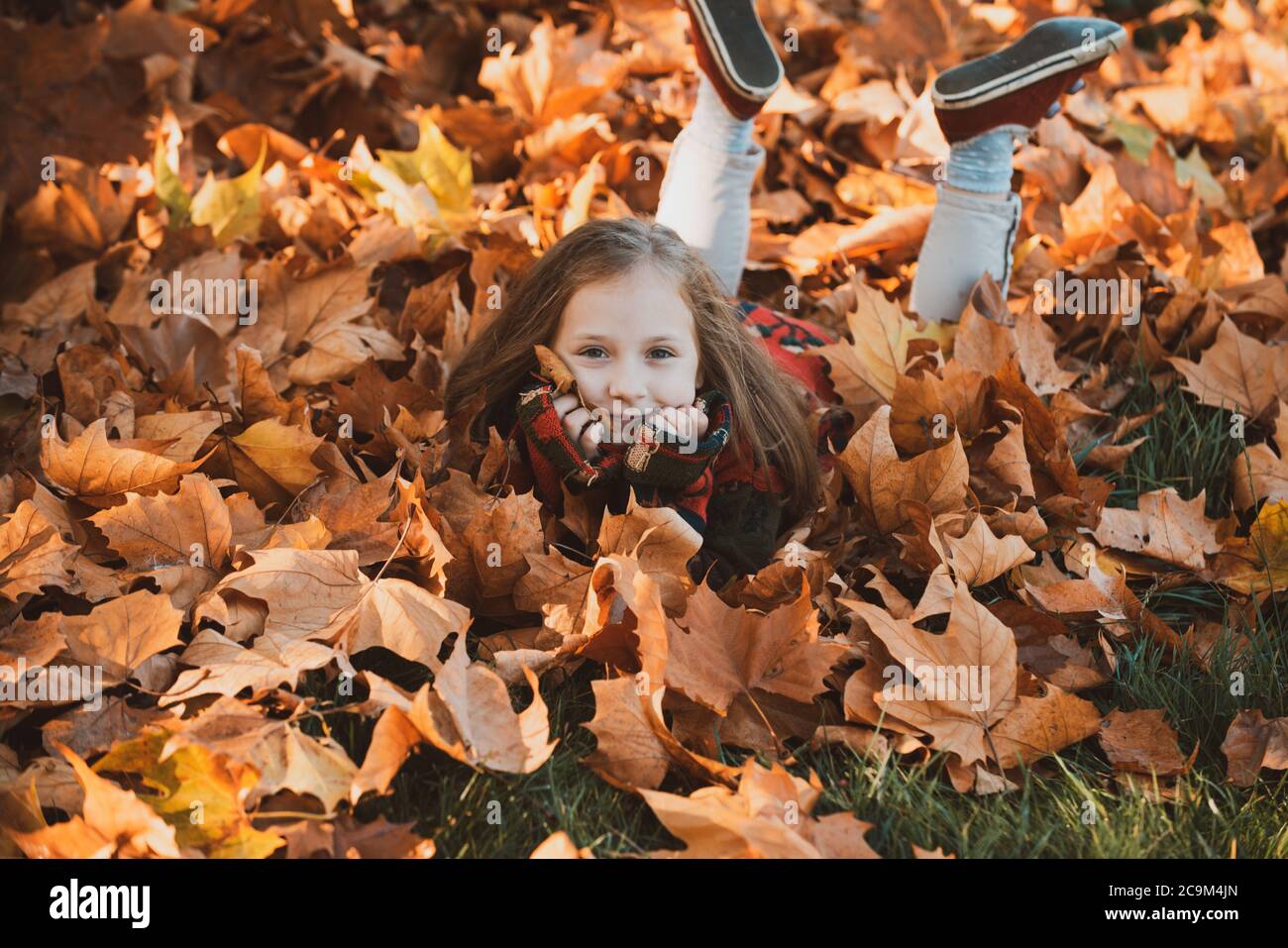 Una chica linda en el parque de otoño. Niña de hojas. Feliz niño riendo y jugando hojas en otoño al aire libre. Hermosa chica feliz que se divierte Foto de stock