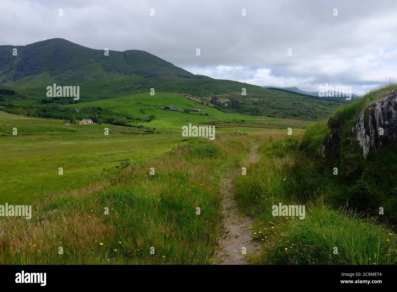 Caminando por el camino de Kerry en 2019 en el conde Kerry en el sur de Irlanda, en un bucle alrededor de la península de Iveragh Sneem sección a Caherdaniel Foto de stock